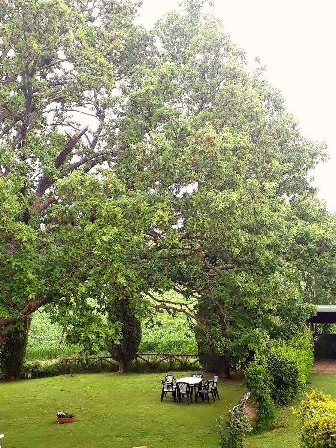 Agriturismo La Baroncella Montemerano Buitenkant foto