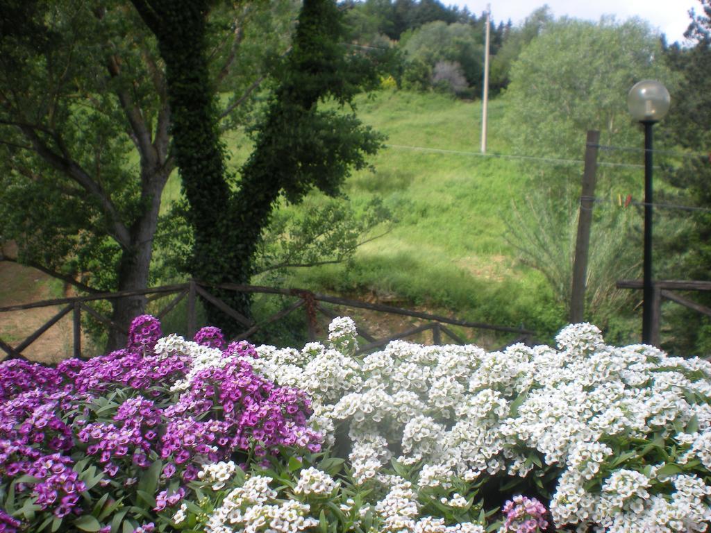 Agriturismo La Baroncella Montemerano Kamer foto